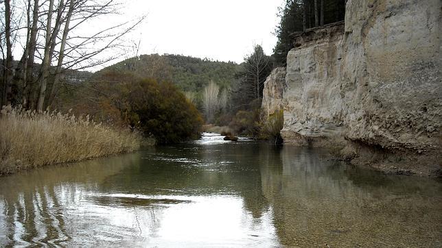 El Alto Tajo, una zona espectacular para coger setas y desconectar