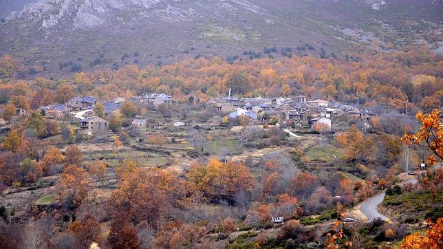 Además de las setas, se puede disfrutar en esta zona de los hayedos más meridionales de España, los Hayedos de Cantalojas y el Hayedo de Montejo