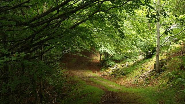 Senda en los montes Obarenes