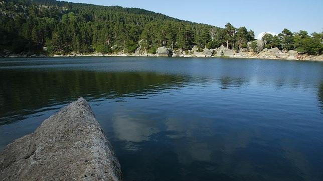 Once bosques españoles para organizar una excursión en otoño