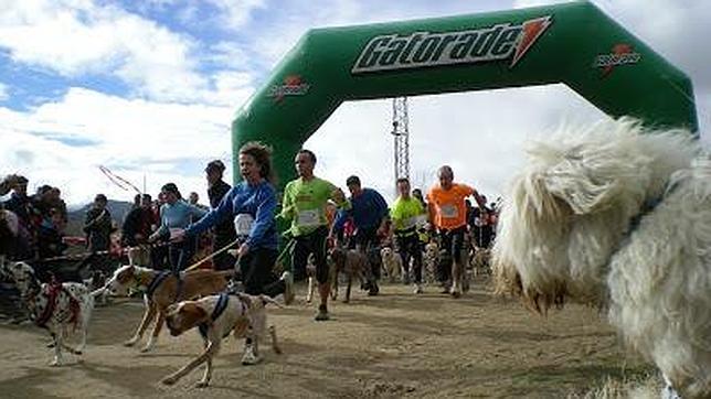 Los participantes de la carrera entran en la línea de meta con sus mascotas