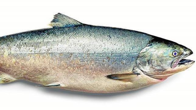 ¿Qué pescado reina en la mesa esta Navidad?