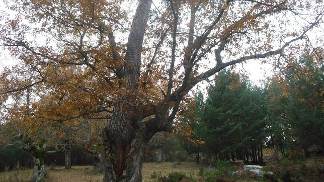 Las joyas naturales de Burgos que no olvidarás 