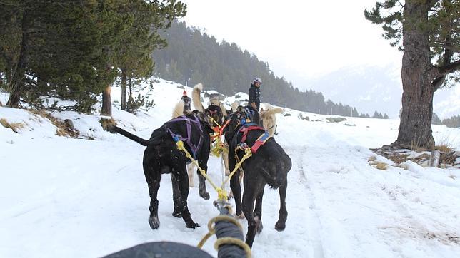 Mushing en Andorra