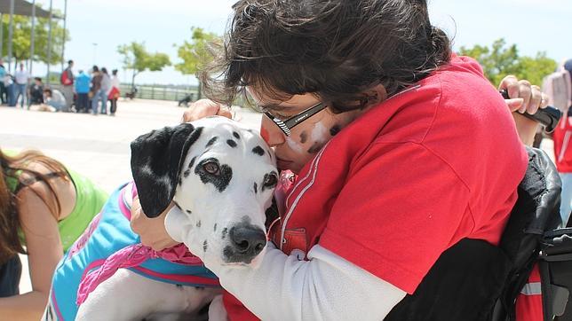 Diez beneficios para la salud que aportan las mascotas