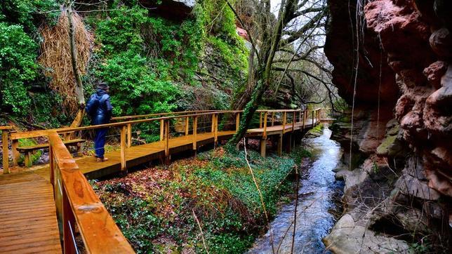 Camino elevado de madera junto al cauce del río Vencherque, cerca de Villar del Humo