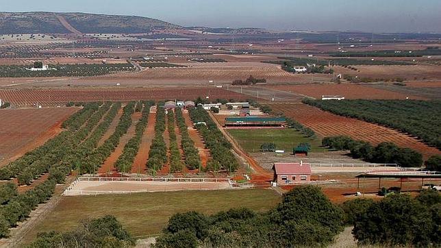 Extensiones de Finca Las Agrupadas, en Valdepeñas