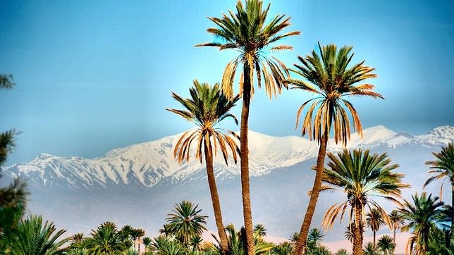 Palmeral de Skoura, al fondo el monte M'Goum de la cordillera del Atlas